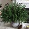 Artificial Christmas Norfolk Pine Stems Branches for Vases (Small Pine Cones) 1"D x 1"W x 1"H